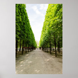 Poster Passeio arborizado