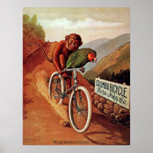 Póster Passeio cómico da bicicleta do papagaio do macaco