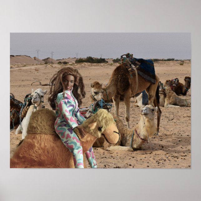 Poster Passeio de camelo na Tunísia. (Frente)