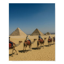 Passeio de Camelo no Deserto das Pirâmides do Anti