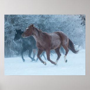 Poster Passeio de Cavalo