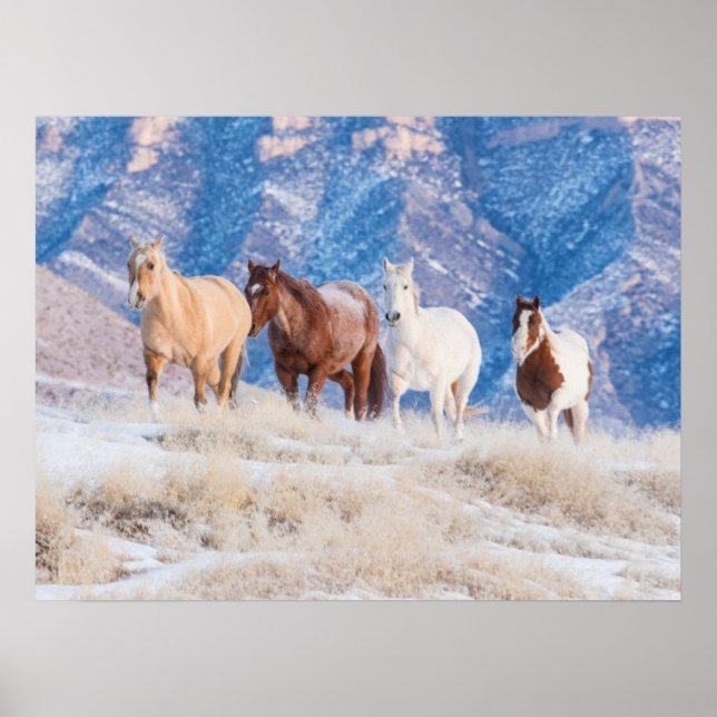 Poster Passeio de Cavalo Cowboy no Hideout Ranch (Frente)