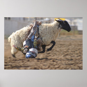 Póster Passeio selvagem