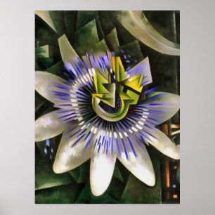 Poster Passiflora Passeio Flor No Estilo Geométrico De Ar