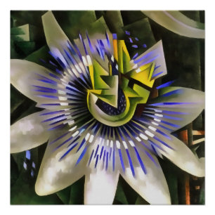 Póster Passiflora Passeio Flor No Estilo Geométrico De Ar