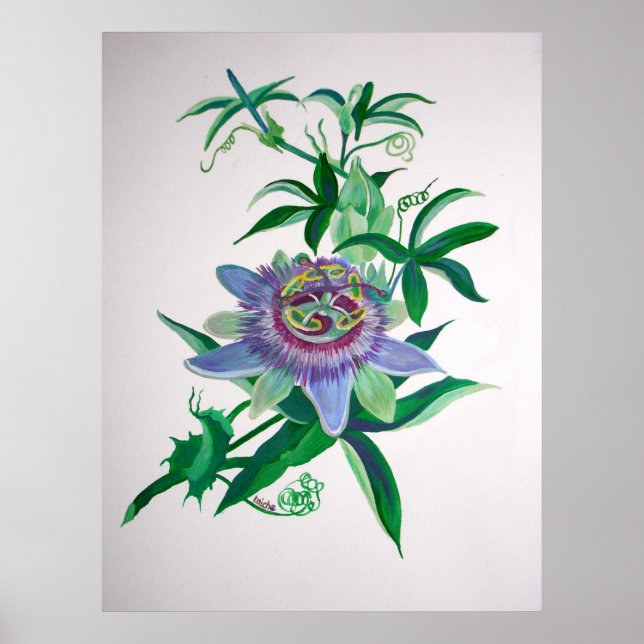Poster Passion Flower Botanical Art (Frente)