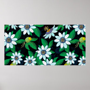 Poster Passionflower, passiflora em fundo negro. F