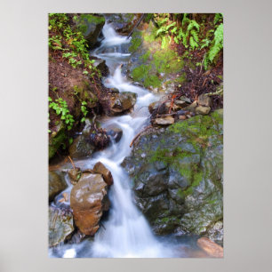 Póster Passo a passo