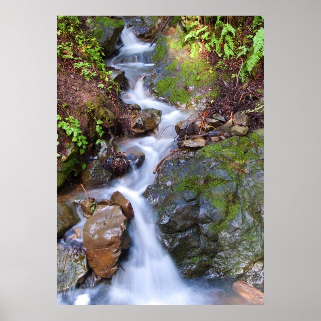 Póster Passo a passo (Frente)