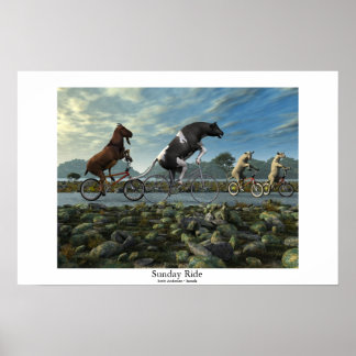 Poster Passo Domingo