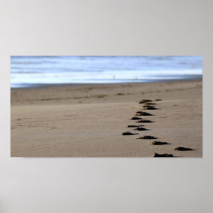 Póster Passos da praia