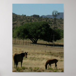 Póster Pastagem perfeita