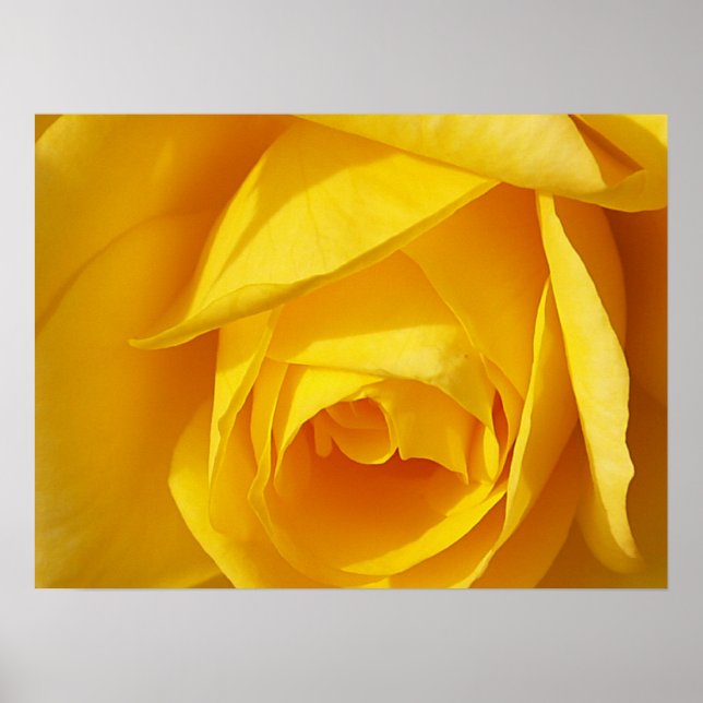 Poster Pastas Amarelas (Frente)