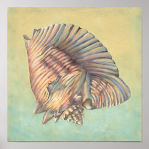 Poster Pastel Grande Shell de Conch