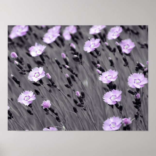 Poster Pastel Lilac Wildflower (Frente)