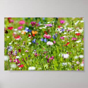 Poster Pasto de flor