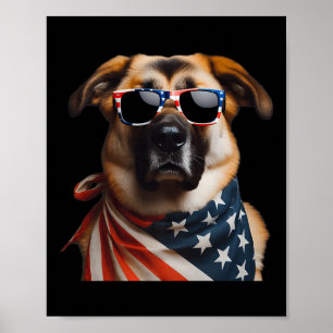 Poster Pastor Anatólico Cão 4 De Julho Indepe Americano