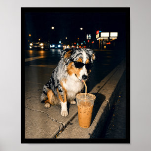 Poster Pastor Australiano Bebendo Café Gelado Amante de C