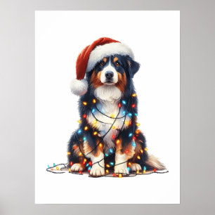 Poster Pastor australiano molhado à luz de Natal