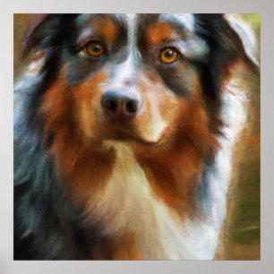 Poster Pastor australiano - Retrato de cão