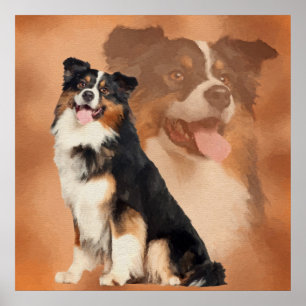 Poster Pastor australiano tricolor preto - Aussie
