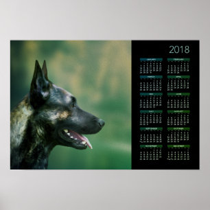 Póster Pastor holandês - calendário 2018 de Dutchie
