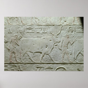 Poster Pastor que conduz um touro