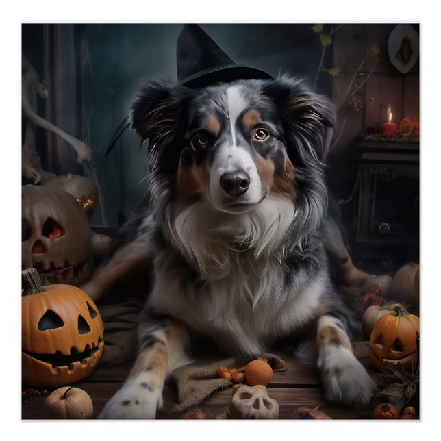 Póster Pastores Australianos Abóboras Halloween Assustado (Frente)