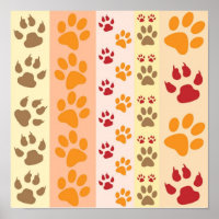 Pata de animais em bruto imprime padrão em cores n