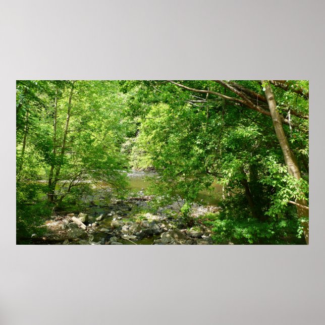 Poster Patapsco River View Maryland - Fotografia Natural (Frente)