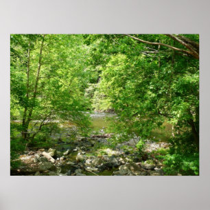 Póster Patapsco River View Maryland - Fotografia Natural