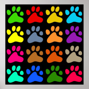Póster Patas coloridas
