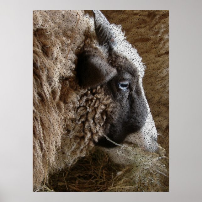 Poster Patchwork Amy (Frente)