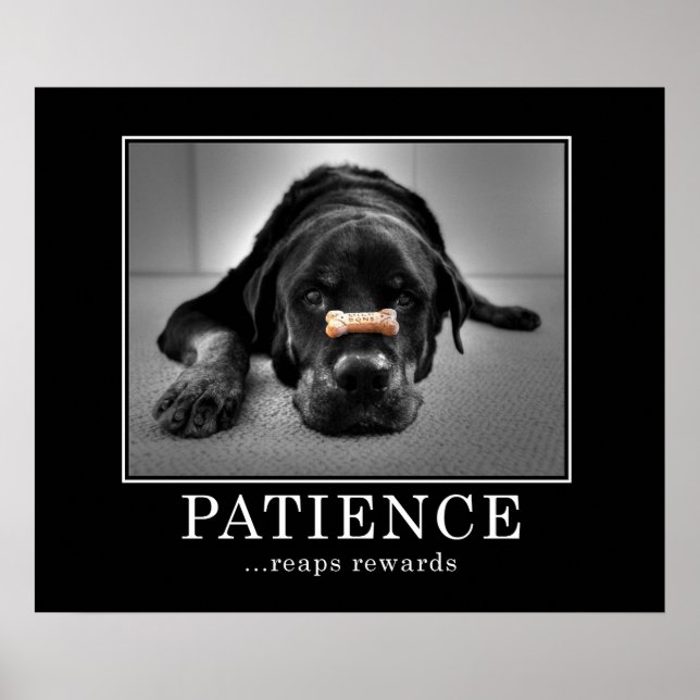 Poster "Patience Reaps" (Frente)
