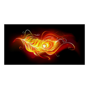 Póster Patilha de Fogo