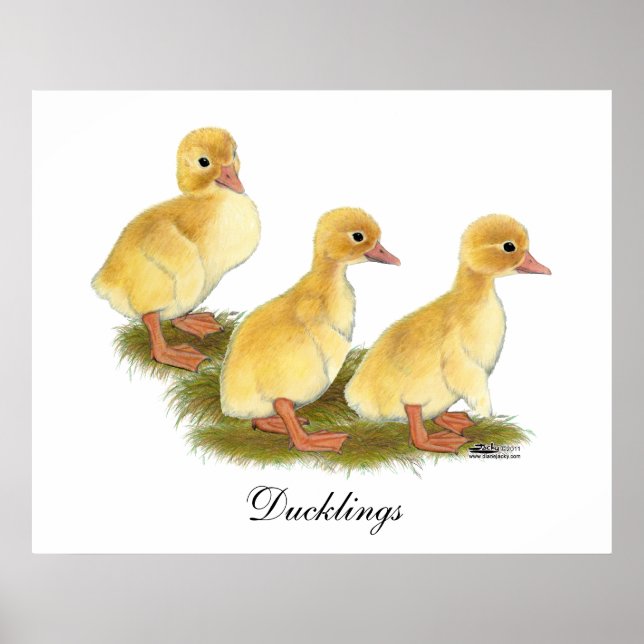 Póster Patinhos Amarelos (Frente)