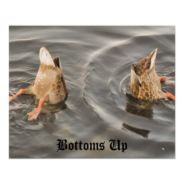 Póster Pato (Frente)