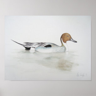 Poster Pato 2011 do arrabio