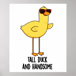 Poster Pato Alto E Belos Animais Engraçados