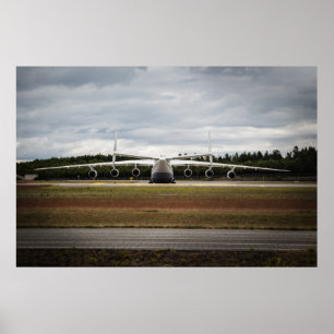 Póster Pato de assento