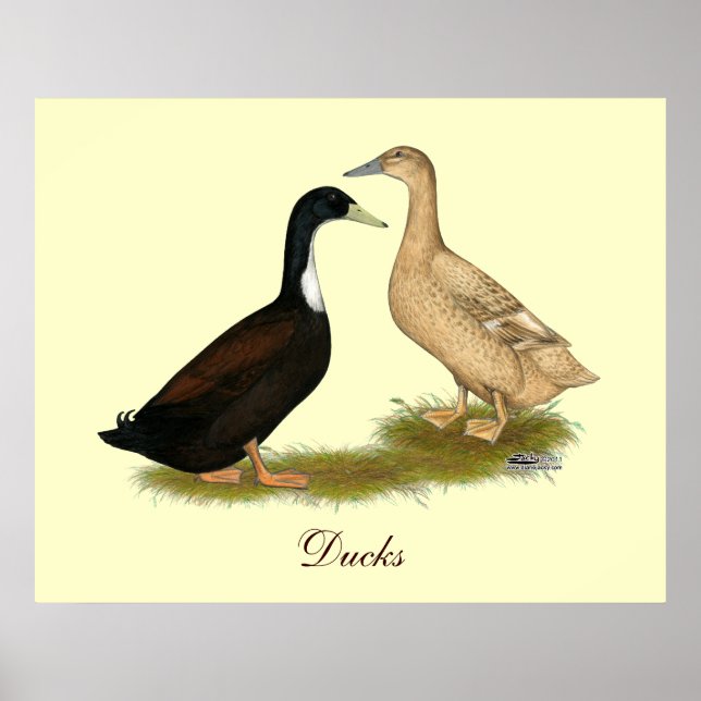 Poster Pato de Leitura Híbrido (Frente)
