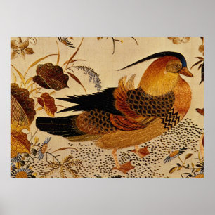Poster Pato de mandarino