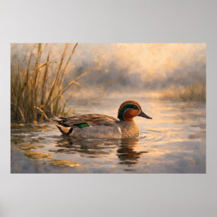 Poster Pato de Pântano   Arte Costeira de Vida Selvagem  