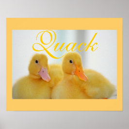 Póster Pato-pássaro Pintinho-de-bico