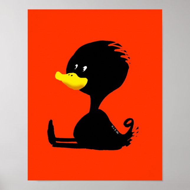 Póster pato preto (Frente)