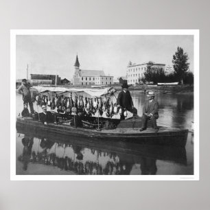 Póster Pato que caça a foto 1912 de Alaska