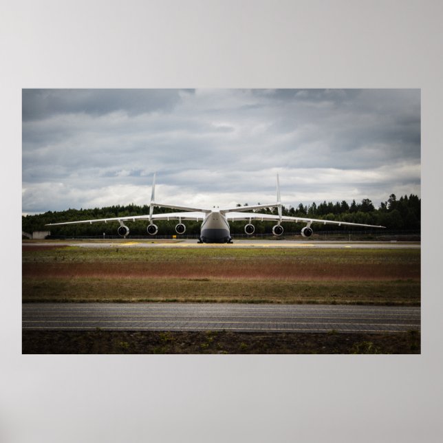 Póster Pato sentado (Frente)