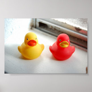 Poster Patos
