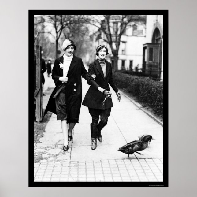 Poster Patos Andando em Washington DC 1926 (Frente)