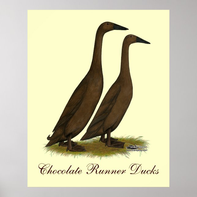 Póster Patos Corredores de Chocolate (Frente)